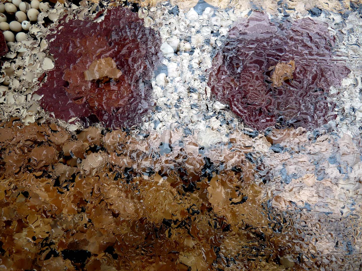 COMPOSIÇÃO NA CHUVA 2