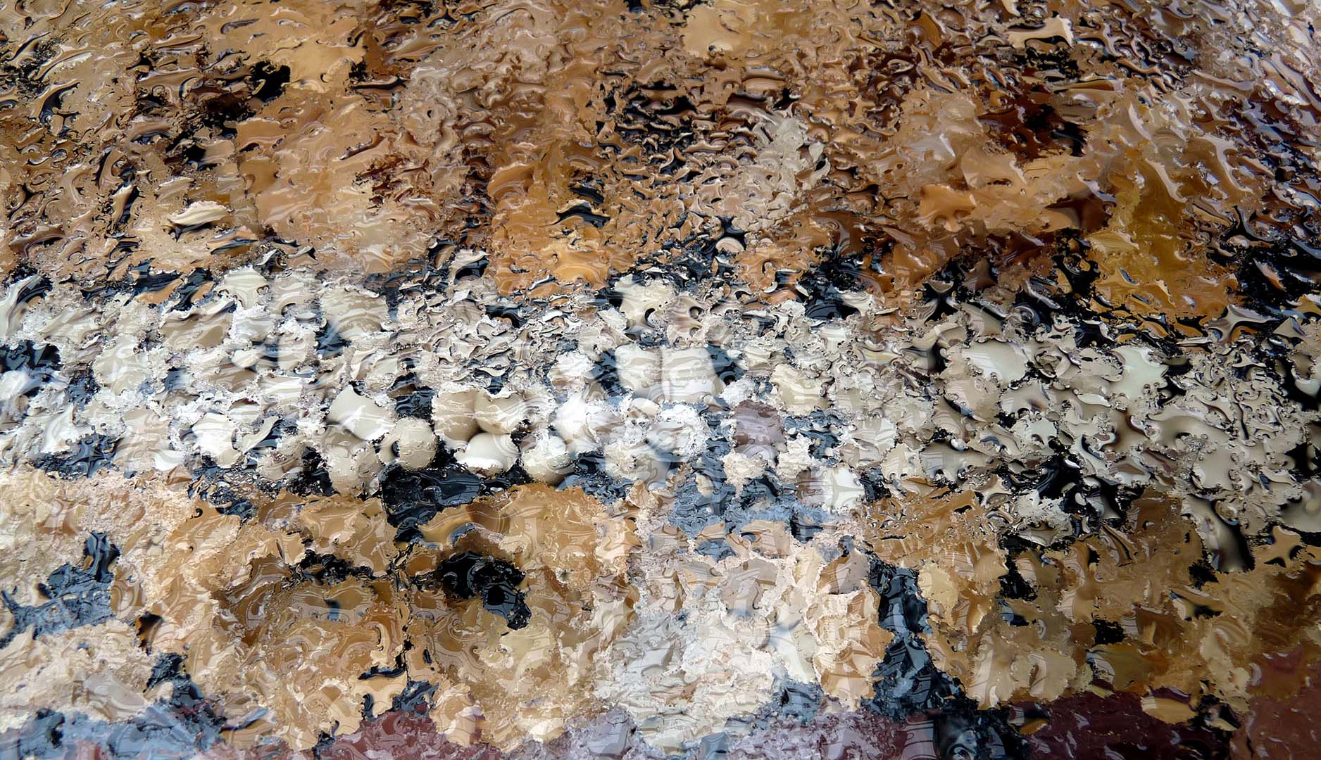 COMPOSIÇÃO NA CHUVA 3