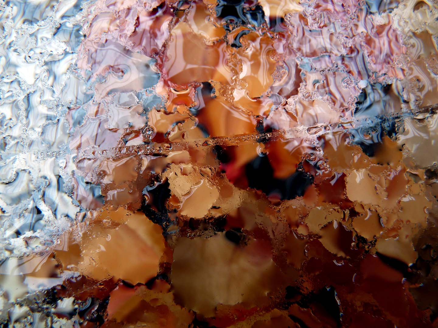 COMPOSIÇÃO NA CHUVA 4