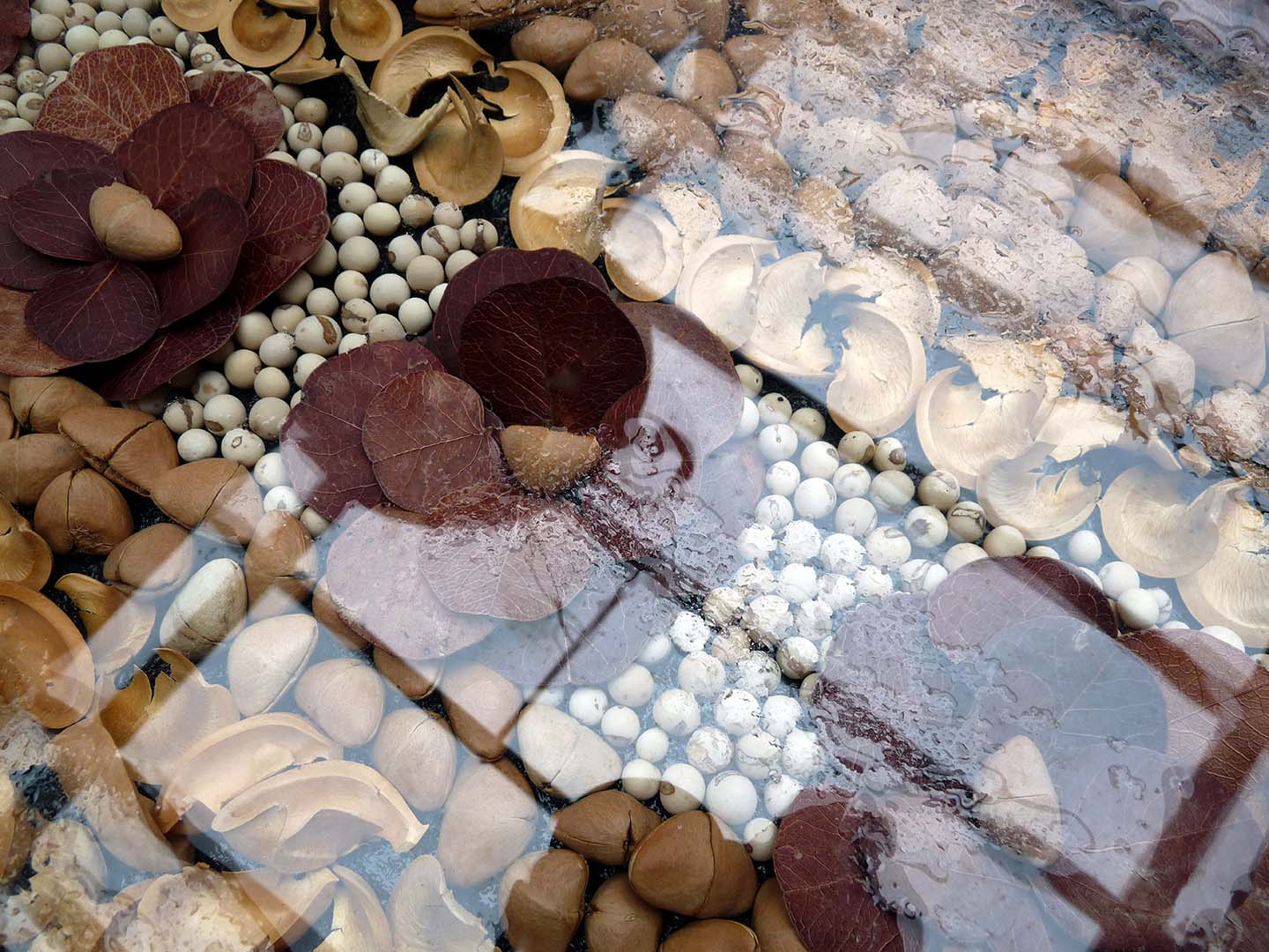 COMPOSIÇÃO NA CHUVA 5