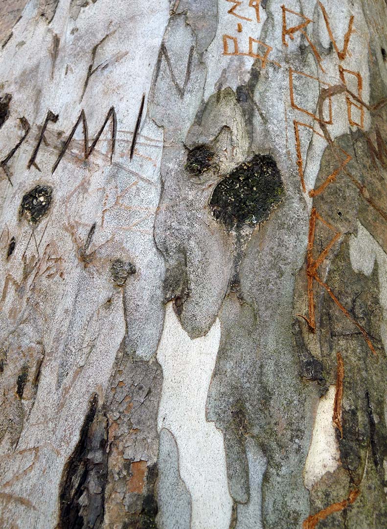 DEMO-PARQUE DA MANGABEIRAS