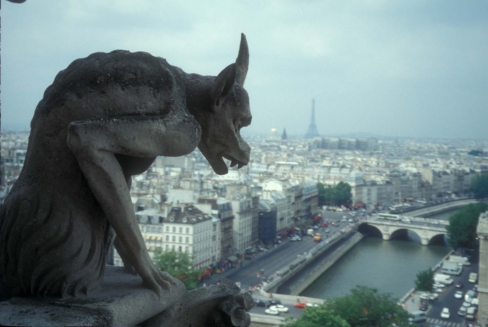 GÁRGULA NOTRE DAME 1