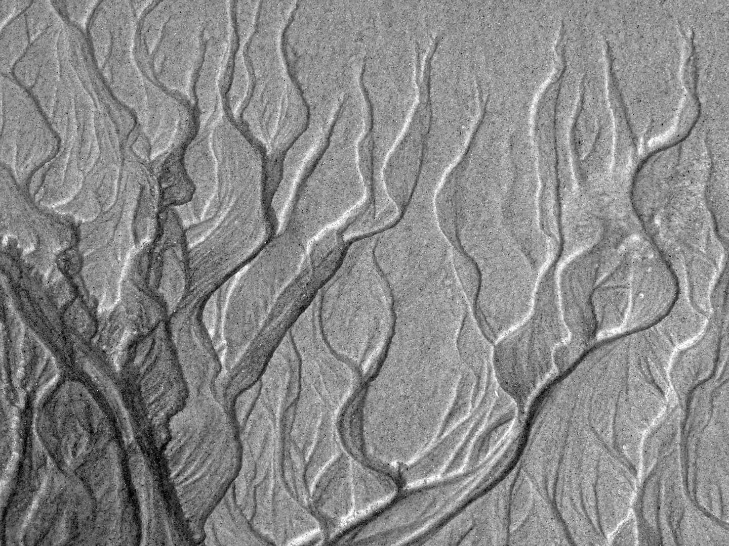 IMPRESSÕES DO MAR 3