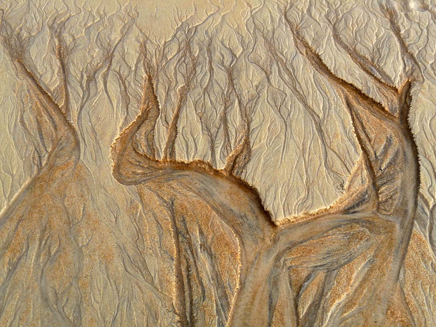 IMPRESSÕES DO MAR 4