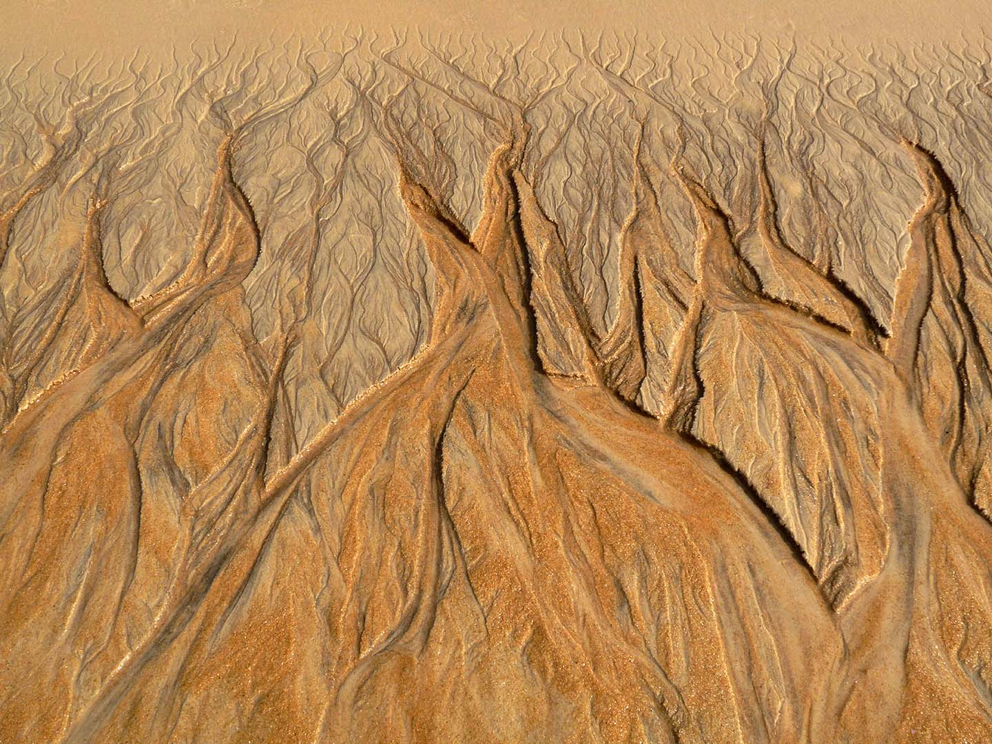 IMPRESSÕES DO MAR 5 B