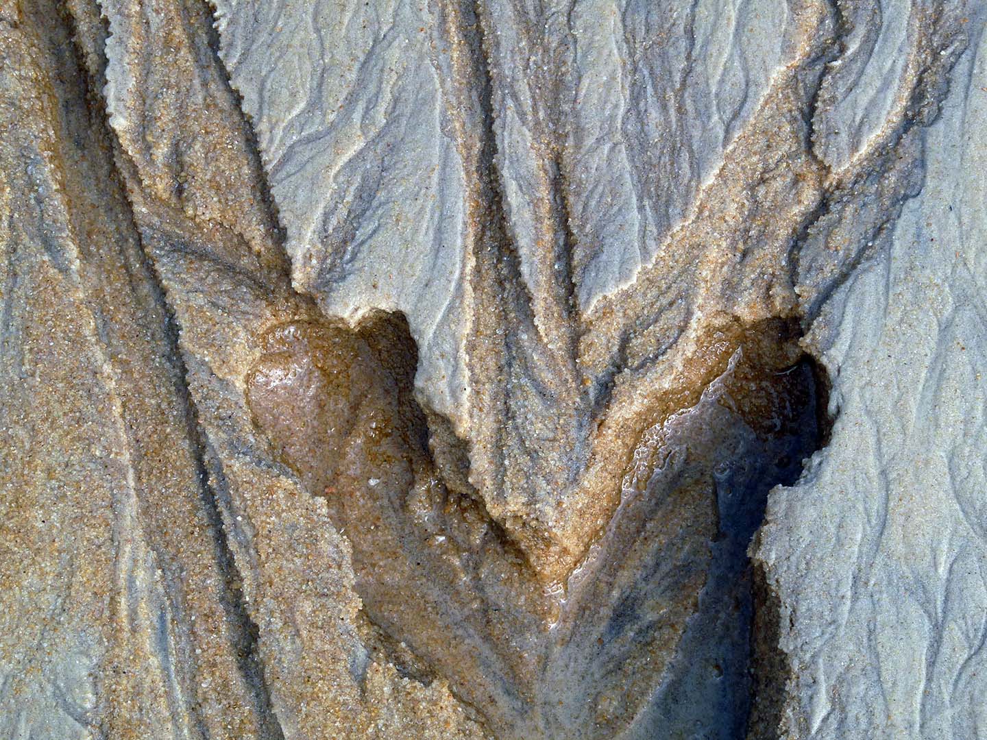 Impressões do mar 6