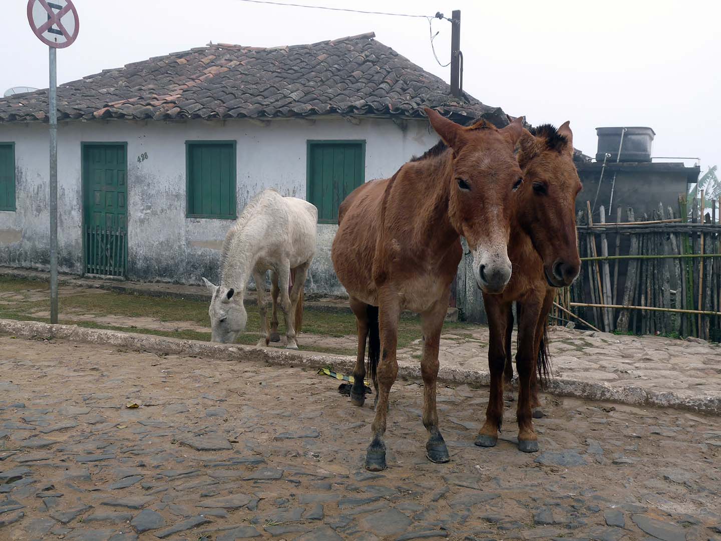 PASSEIO MATINAL LAVRAS NOVAS 2