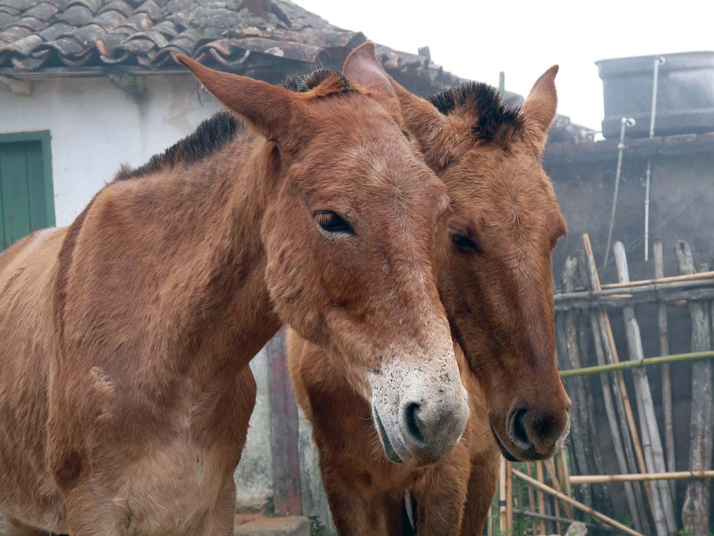 PASSEIO MATINAL LAVRAS NOVAS 3