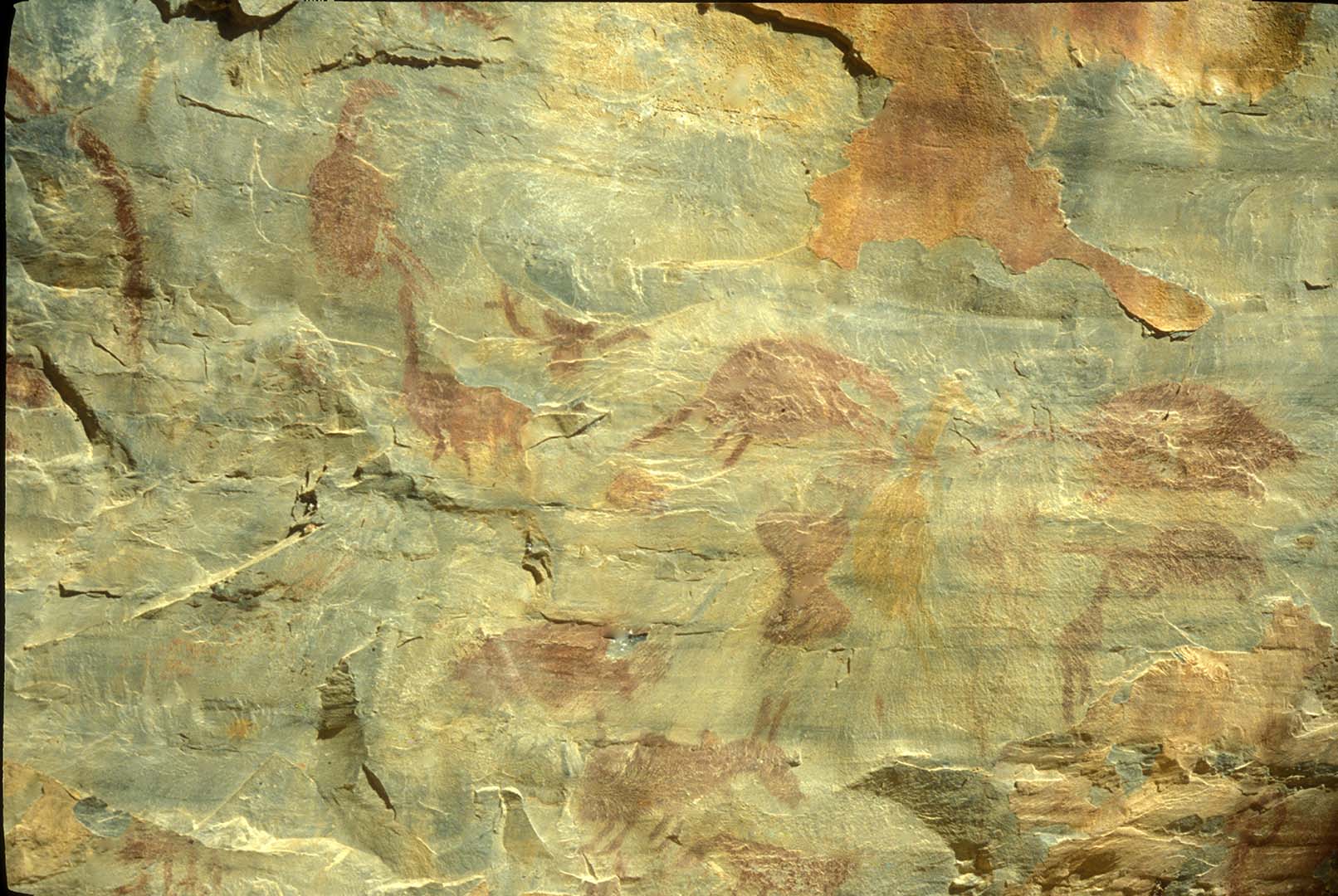 PINTURA RUPESTRE 1 - CERCAS GRANDES