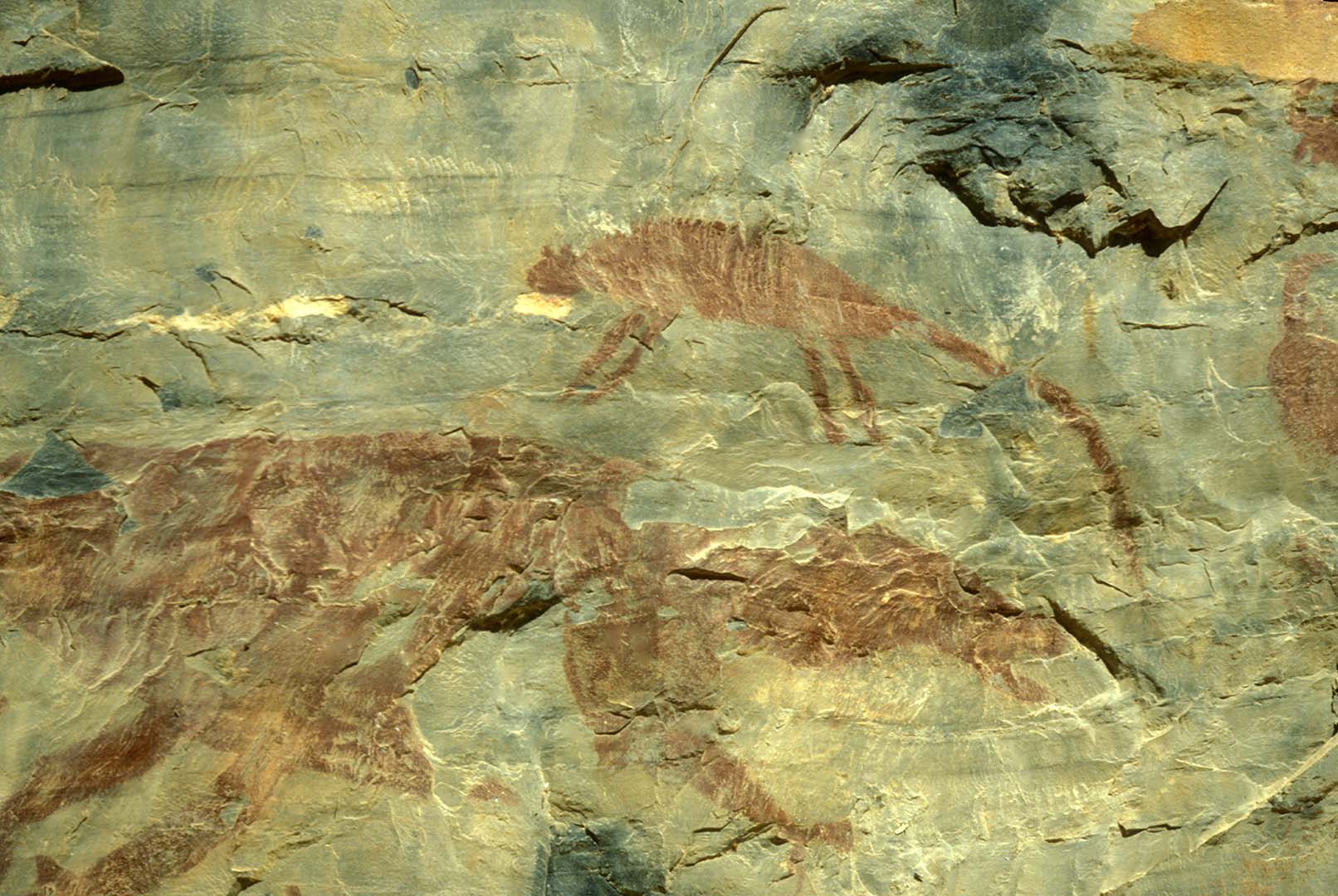 PINTURA RUPESTRE 2 -CERCAS GRANDES