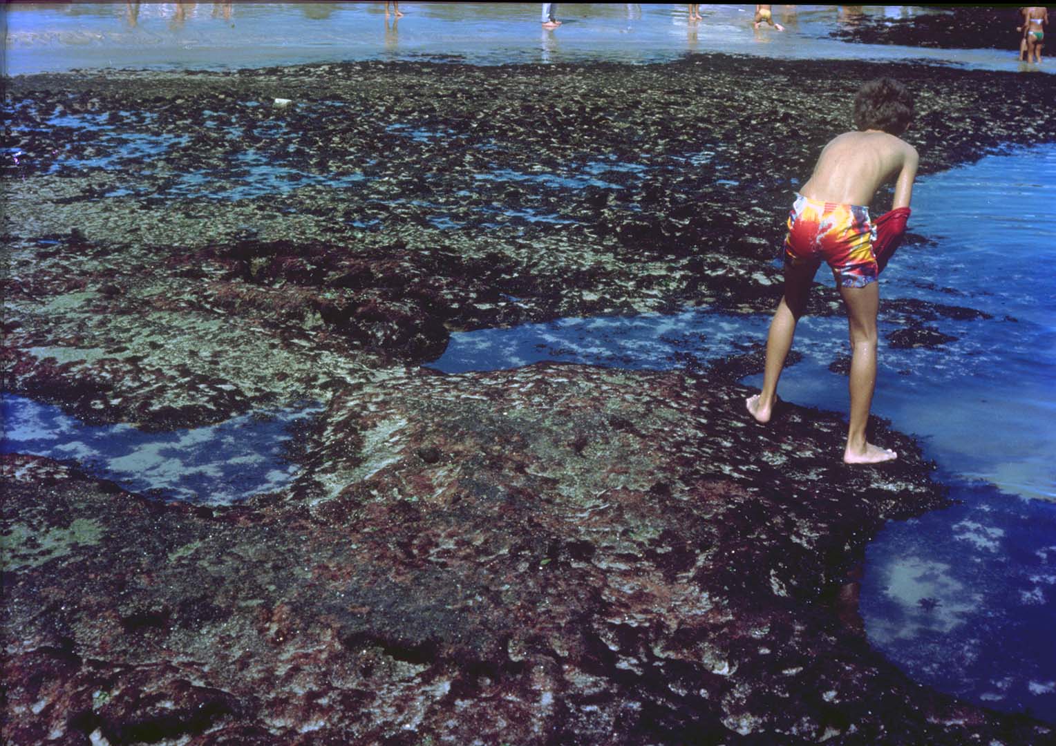 PRAIA DA BOA VIAGEM - RECIFE